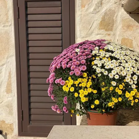 Madre Terra Holiday home